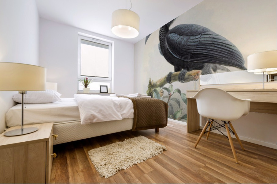 Limonophalus montani 1882 Mural print