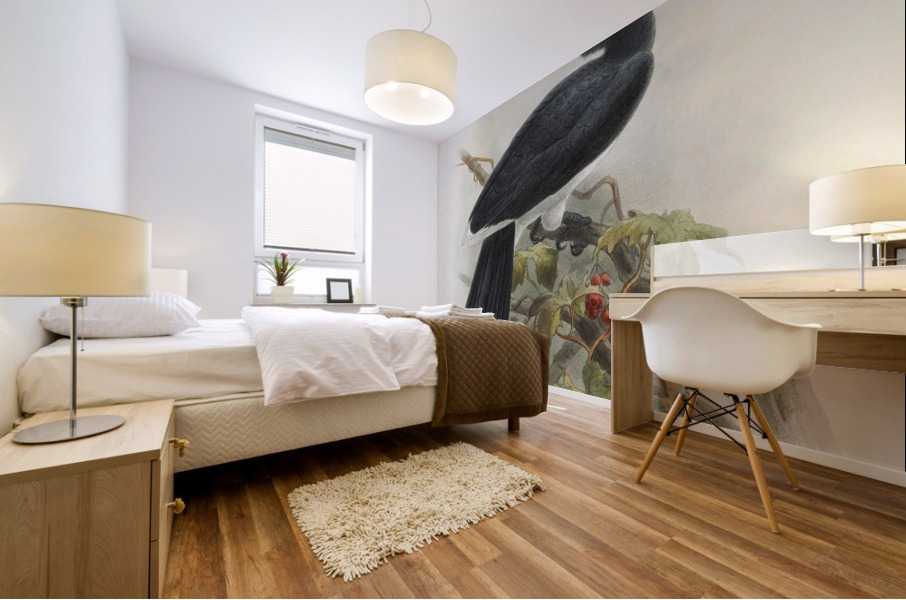 Anthracoceros fraterculus 1882 Mural print