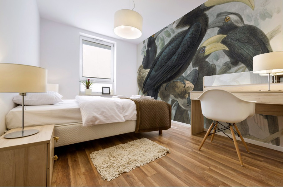 Anthracoceros malayanus 1882 Mural print