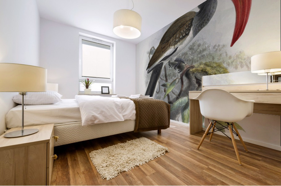 Tockus monteiri 1882 Mural print