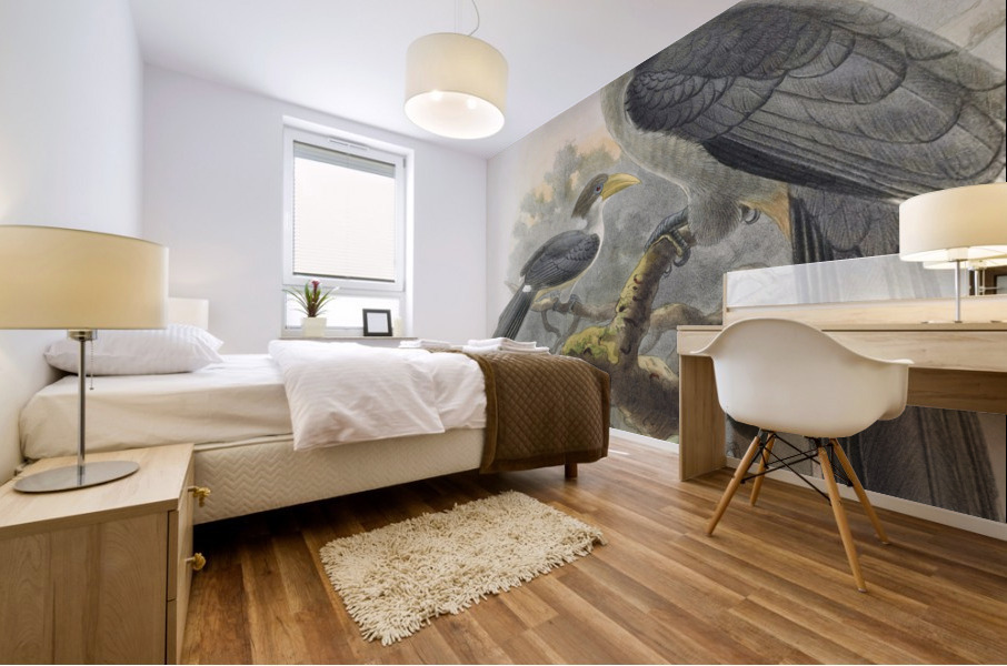 Tockus gingalensis 1882 Mural print