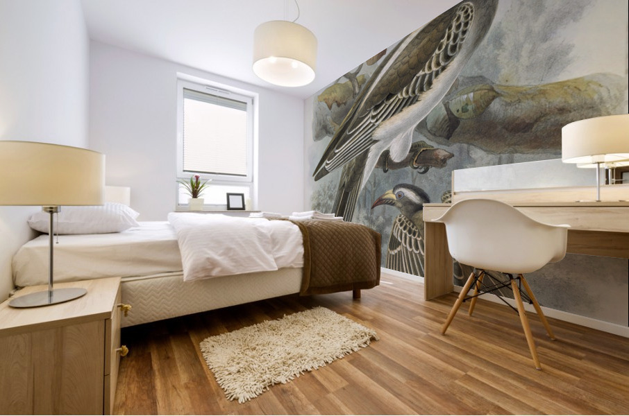 Lophoceros nasutus 1882 Mural print