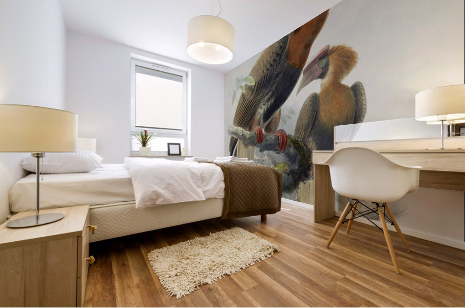 Hydrocorax mindanensis 1882 Mural print