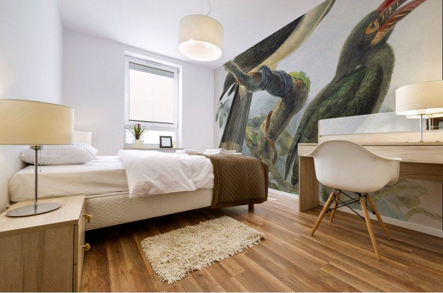 Penelopides manillae 1882 Impression murale