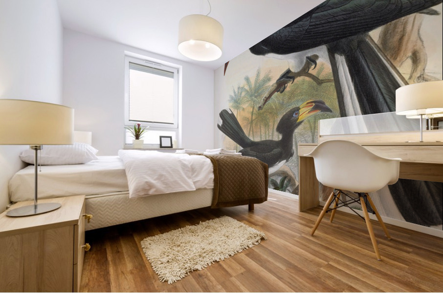 Tockus fasciatusTockus semifasciatus 1882 Mural print