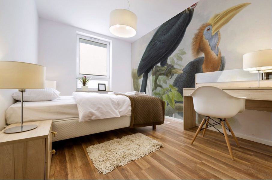 Ceratogymna elata 1882 Mural print