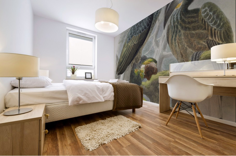 Anorrhinus galeritus 1882 Mural print