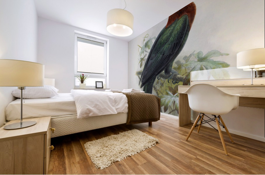 Cranorrhinus waldeni 1882 Mural print