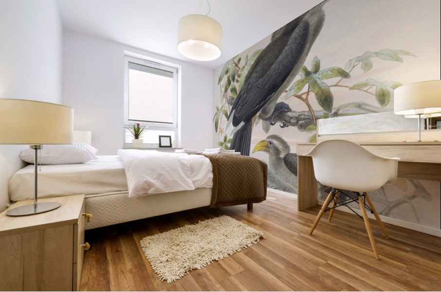 Tockus griseus 1882 Mural print