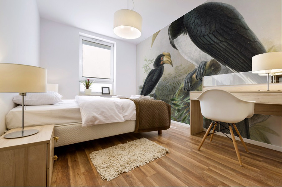 Anthracoceros malabaricus 1882 Mural print