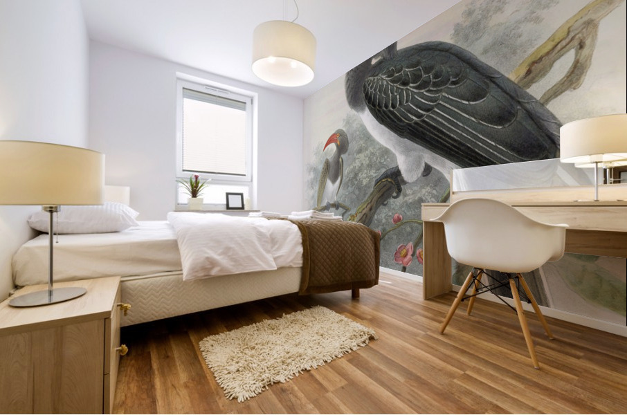 Tockus hemprichii 1882 Mural print