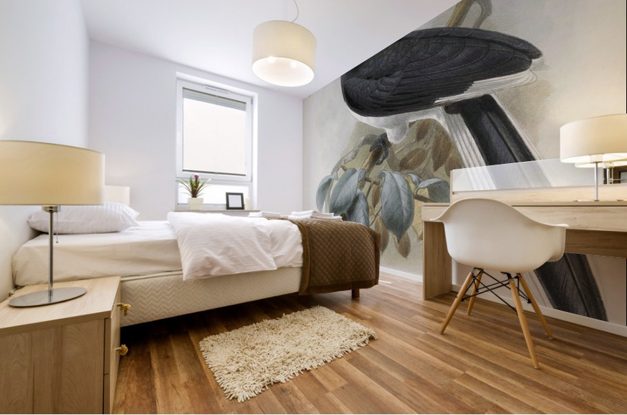 Anthracoceros convexus 1882 Mural print