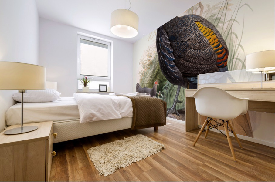 Euplocamus Pyronotus 1872 Mural print