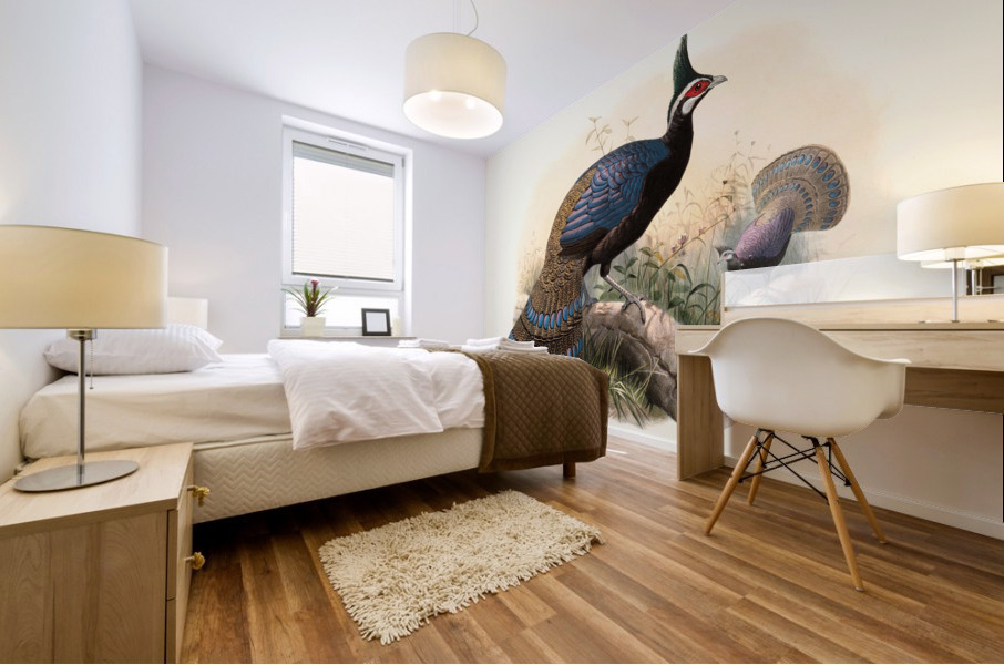 Polyplectron emphanum. 1872 Mural print