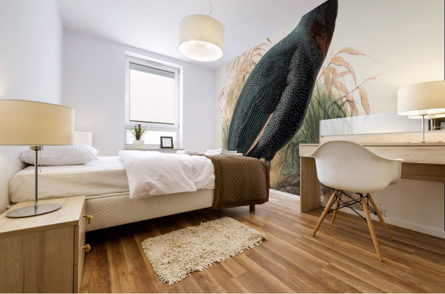 Numida Verreauxii. 1872 Mural print