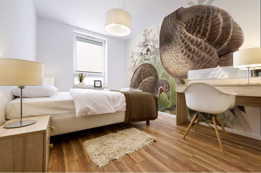 Tetraophasis obscurus. 1872 Mural print