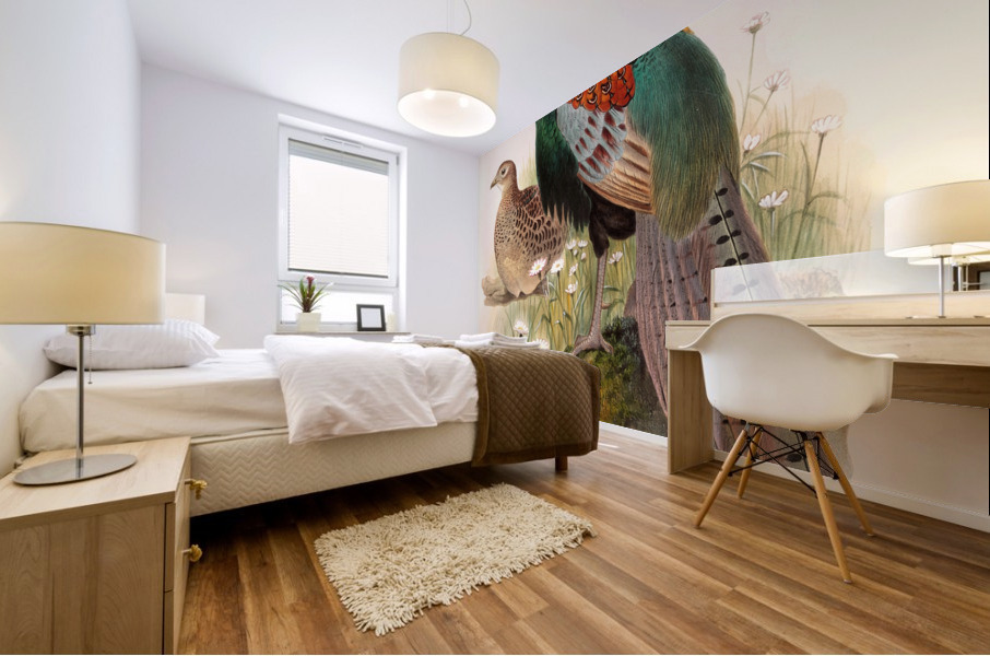 Phasianus versicolor. 1872 Mural print