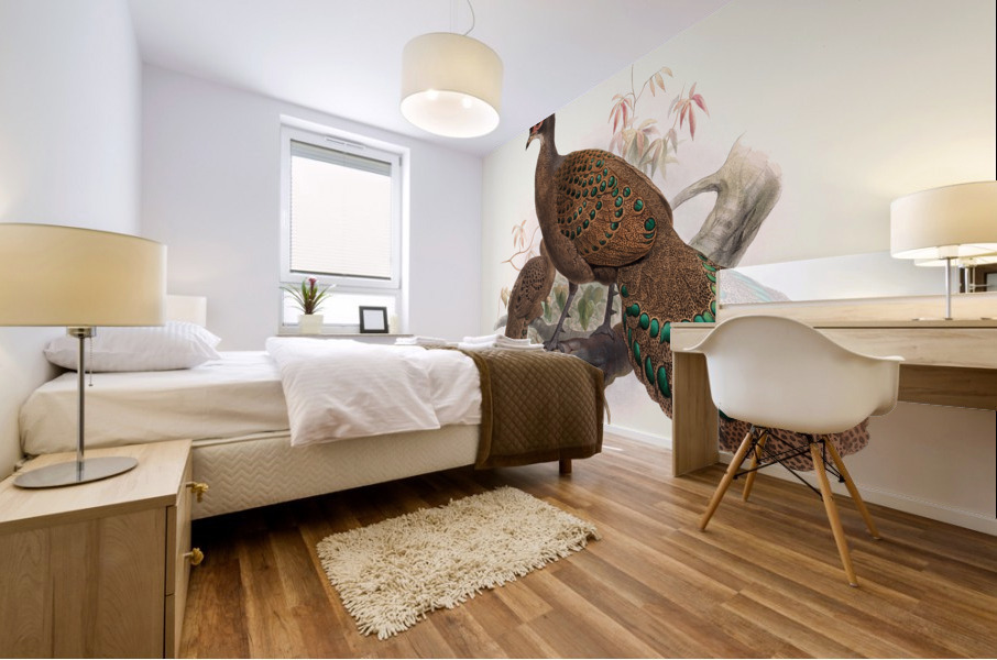 Polyplectron bicalcaratum. 1872 Mural print