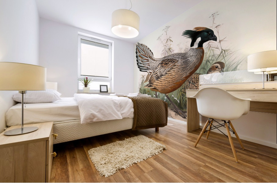 Purcasia Darwini. 1872 Mural print