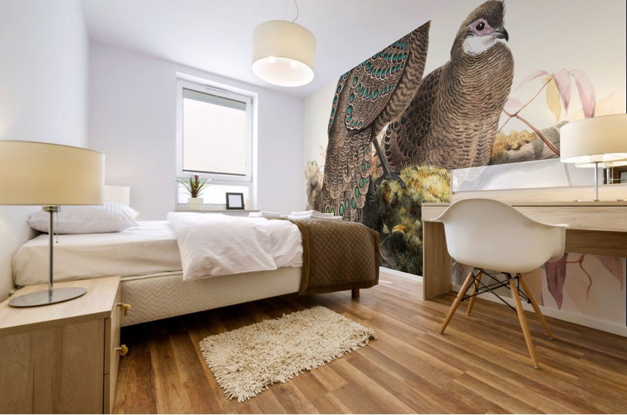 Polyplectron thibetanum. 1872 Mural print