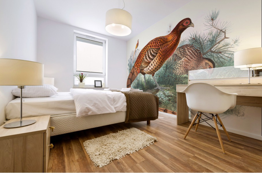 Phasianus Soemmerringii. 1872 Mural print