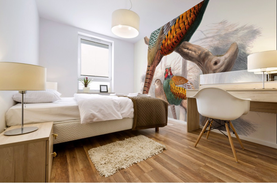 Phasianus elegans. 1872 Mural print