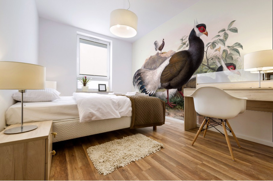 Crossoptilon mantchuricum. 1872 Mural print