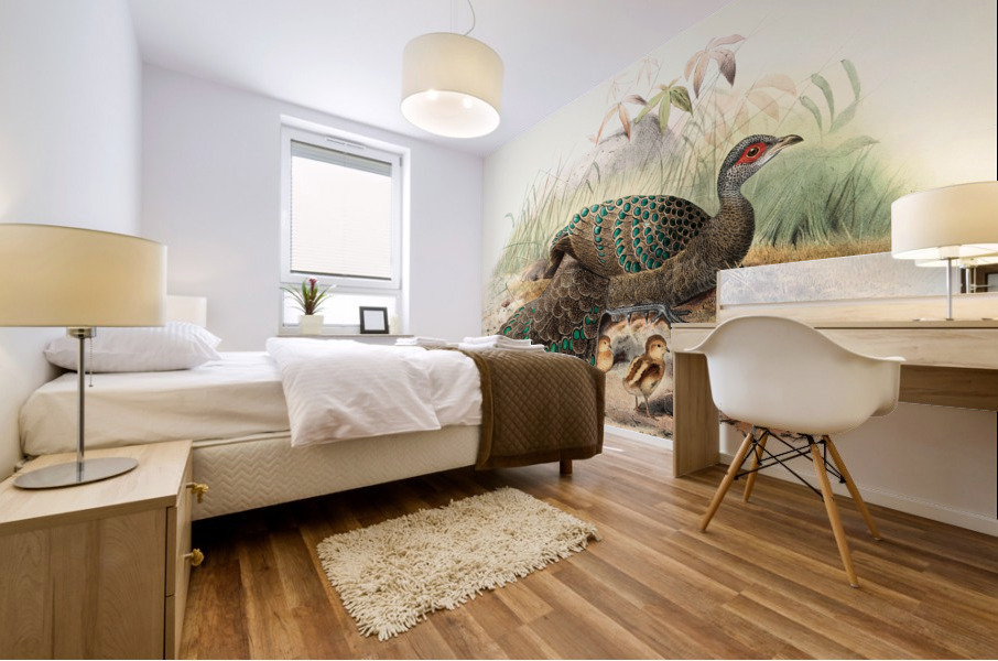 Polyplectron Germaini. 1872 Mural print