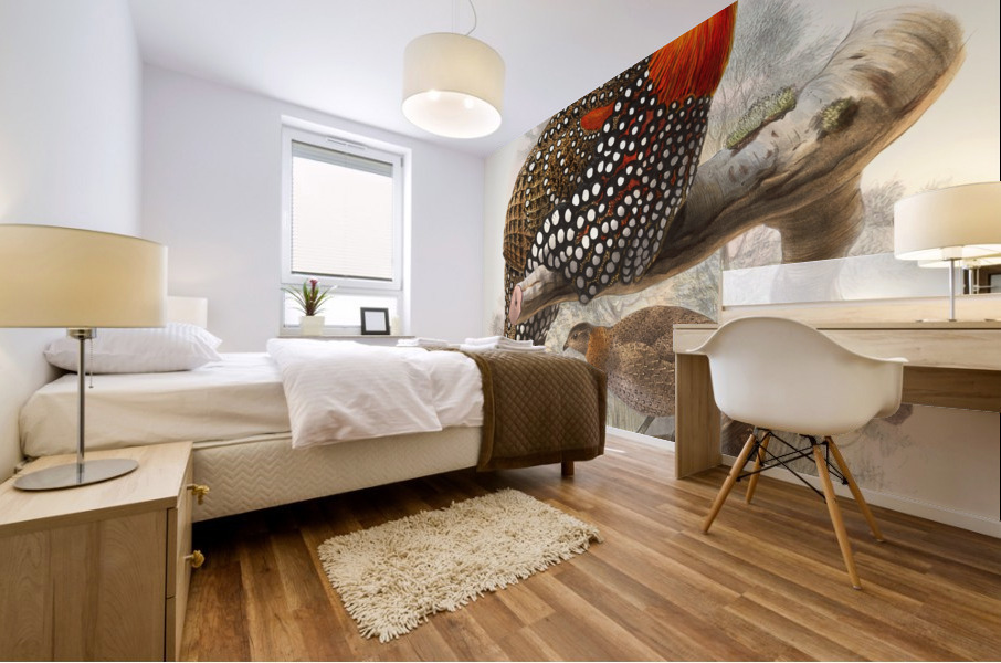 Ceriornis melanocephala. 1872 Mural print