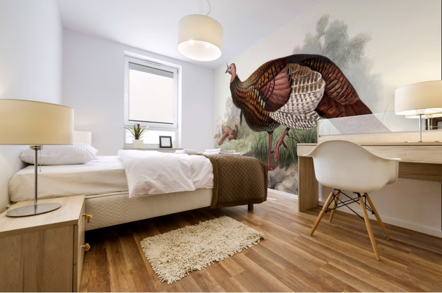 Meleagris gallopavo. 1872 Mural print