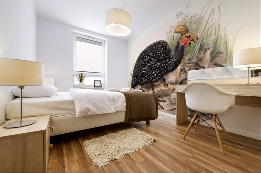 Numida coronata. 1872 Mural print