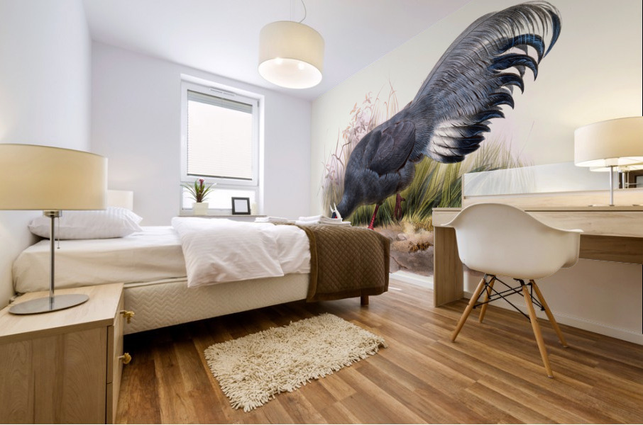 Crossoptilon auritum. 1872 Mural print