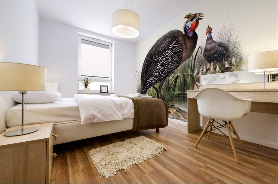 Numida meleagris. 1872 Mural print