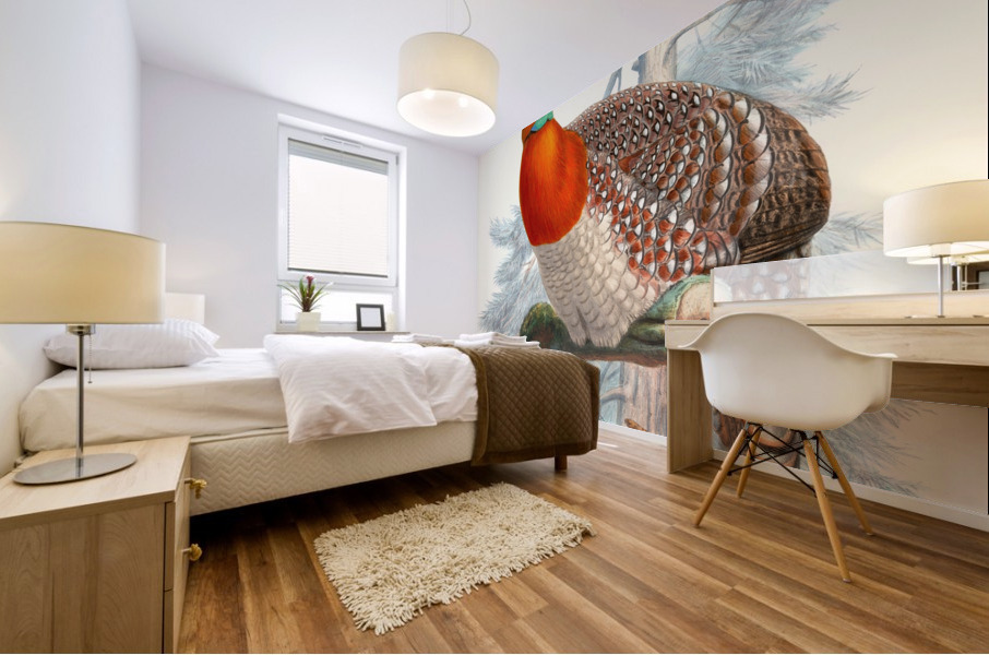 Ceriornis Blythii. 1872 Mural print