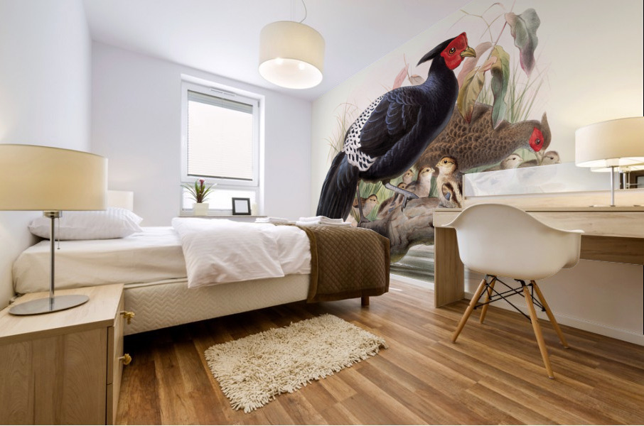 Euplocamus Horsefieldii 1872 Mural print