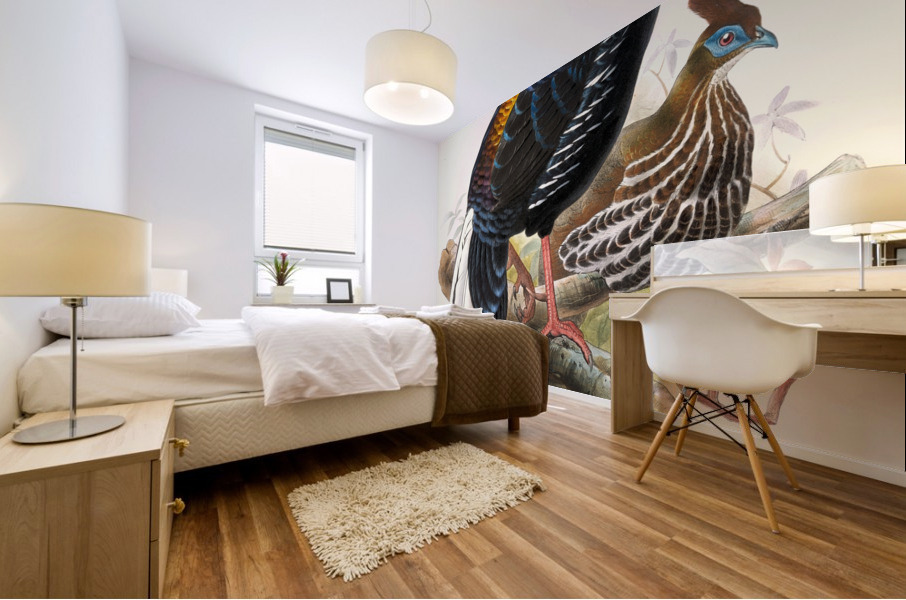 Euplocomus ignitus. 1872 Mural print