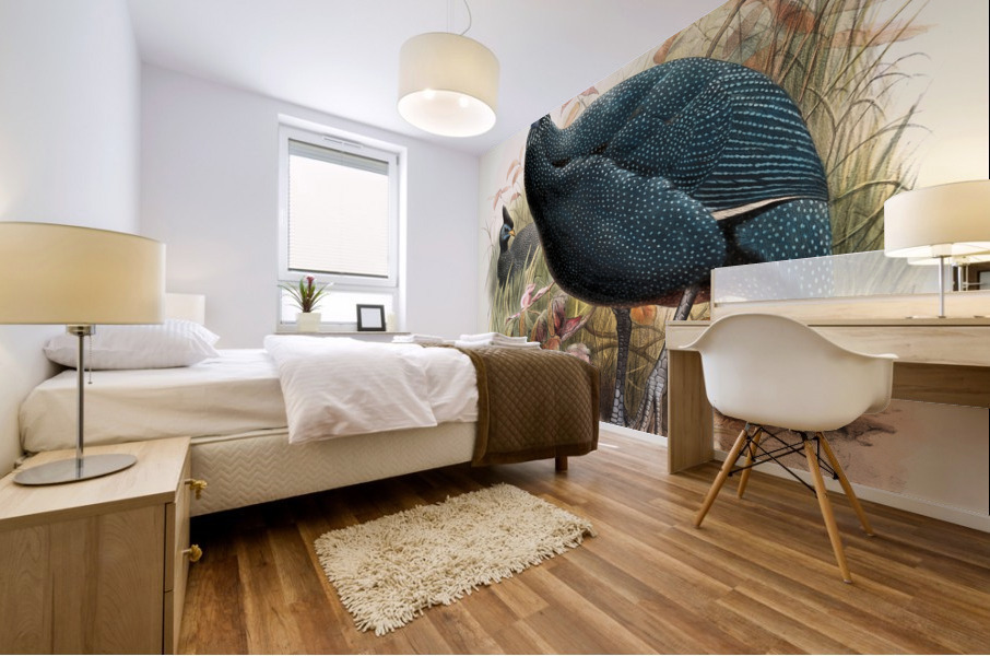 Numida plumifera. 1872 Mural print