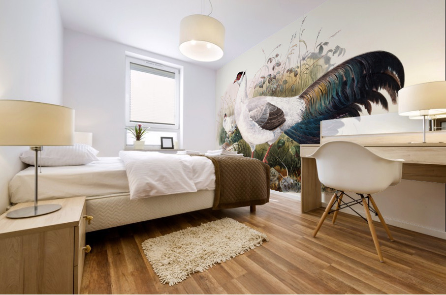 Crossoptilon thibetanum. 1872 Mural print