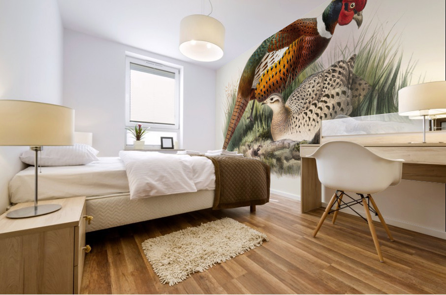 Phasianus mongolicus. 1872 Mural print