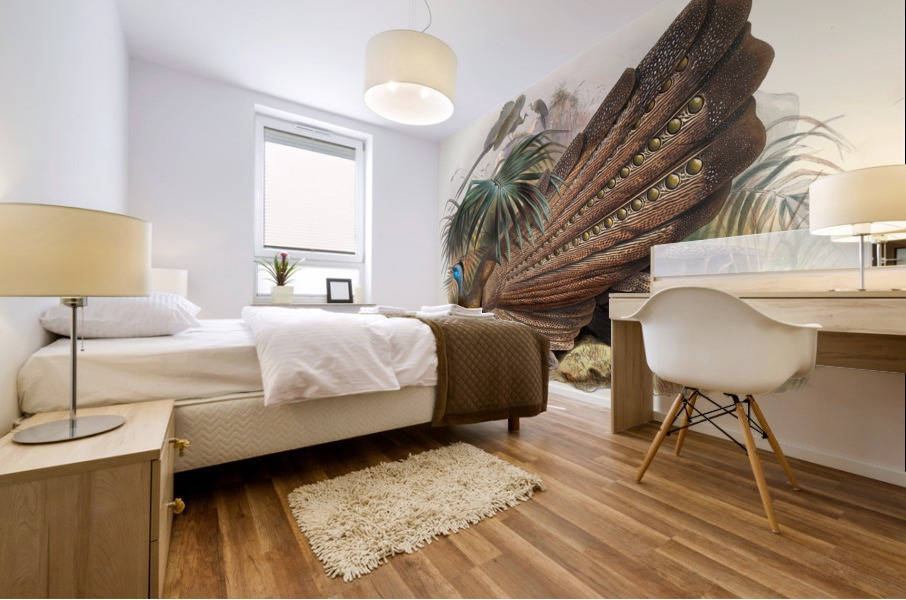 Argus giganteus. 1872 Mural print