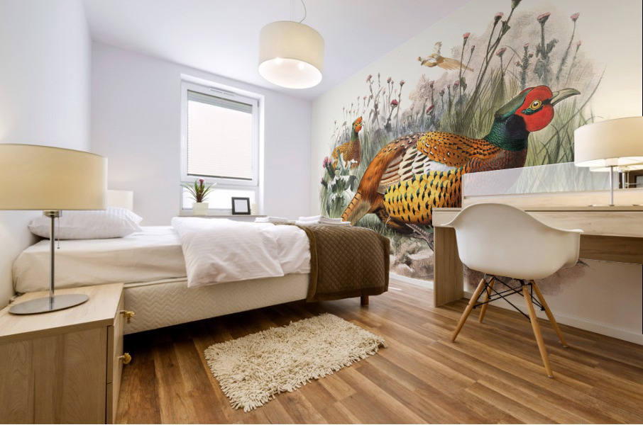 Phasianus Shawii. 1872 Mural print