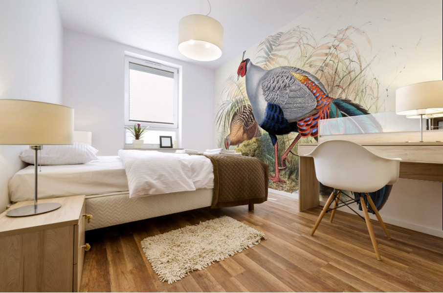 Euplocamus prælatus. 1872 Mural print