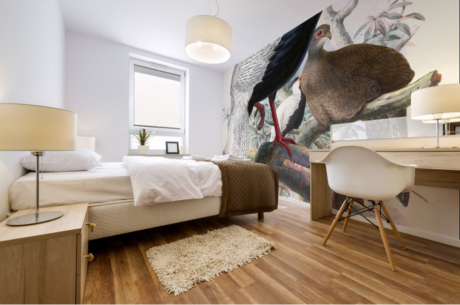 Euplocomus nycthemerus. 1872 Mural print