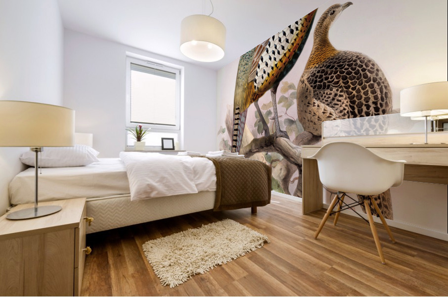 Phasianus formosanus. 1872 Mural print