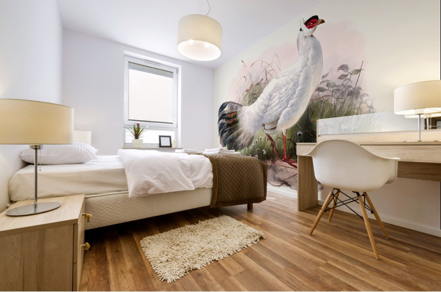 Crossoptilon Drouynii. 1872 Mural print