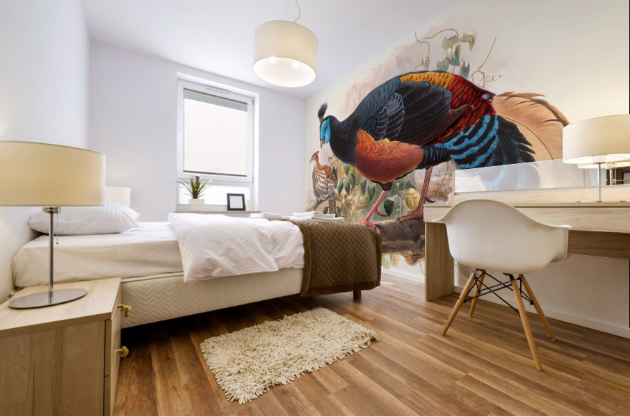 Euplocamus nobilis. 1872 Mural print