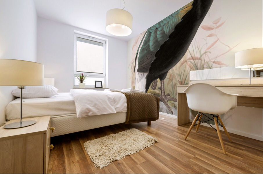 Lophophorus Sclateri. 1872 Mural print