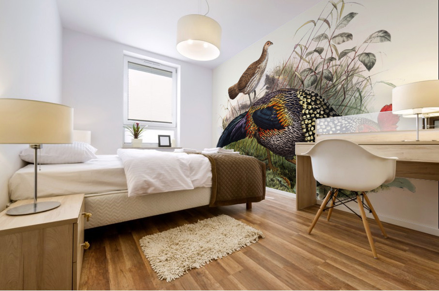 Gallus Sonneratii. 1872 Mural print