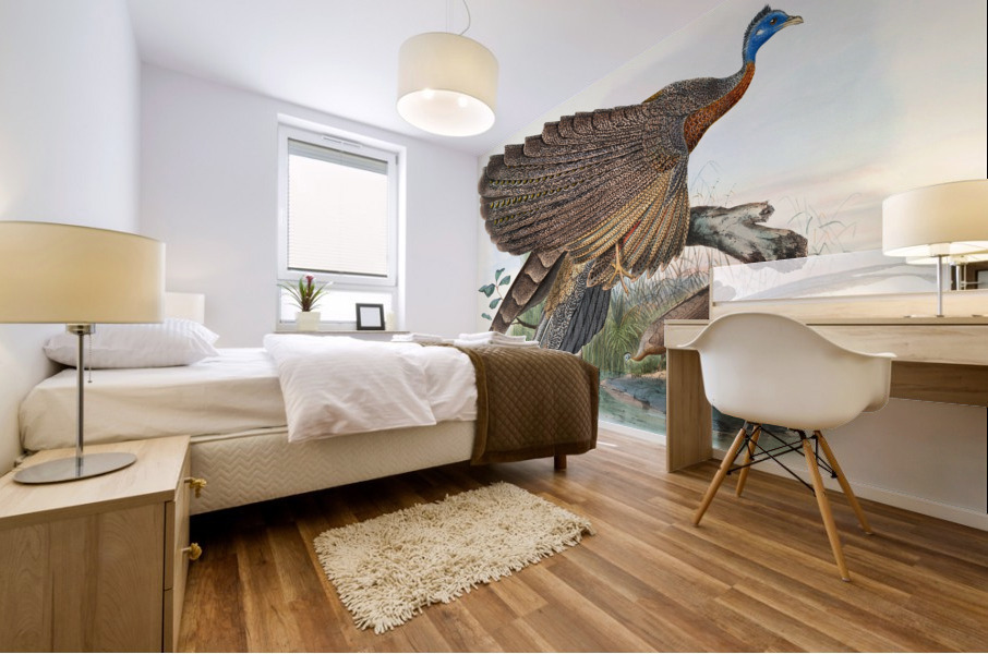 Argus Grayi. 1872 Mural print