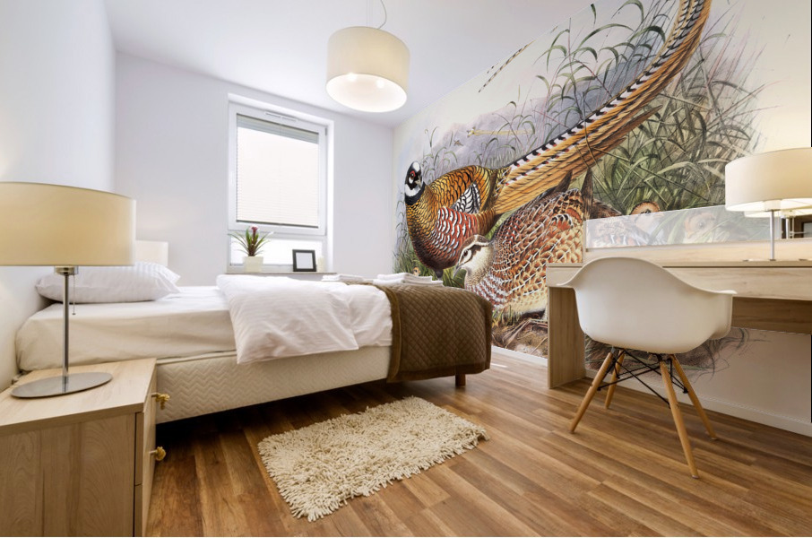 Phasianus Reevesii. 1872 Mural print